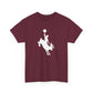 T-shirt: Jackalope ride